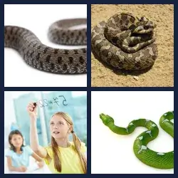 4 Pics 1 Word Level 801