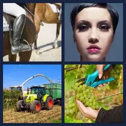 4 Pics 1 Word Level 822