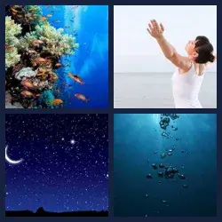 4 Pics 1 Word Level 829