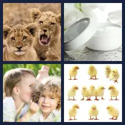 4 Pics 1 Word Level 875