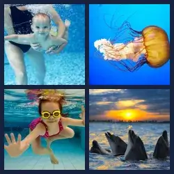 4 Pics 1 Word Level 88