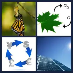 4 Pics 1 Word Level 897