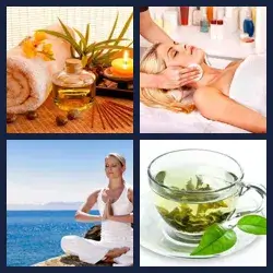 4 Pics 1 Word Level 954