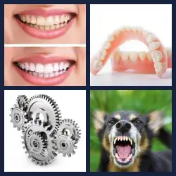 4 Pics 1 Word Level 972