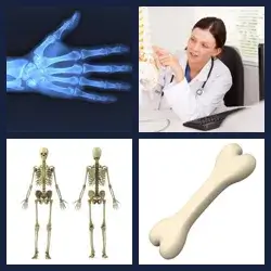 4 Pics 1 Word Level 981