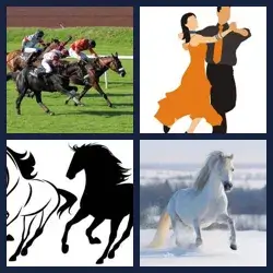 4 Pics 1 Word GALLOP