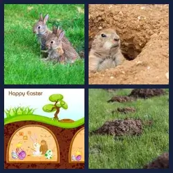 4 Pics 1 Word BURROW