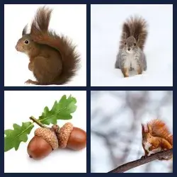 4 Pics 1 Word 1431 Level 4 Pics 1 Word 1431 Answer