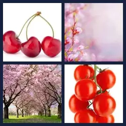4 Pics 1 Word CHERRY