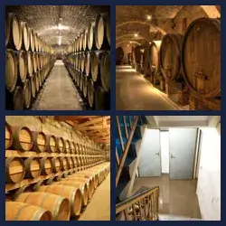 4 Pics 1 Word CELLAR