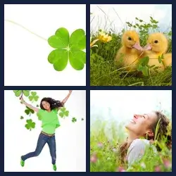 4 Pics 1 Word CLOVER