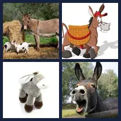 4 Pics 1 Word DONKEY