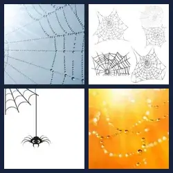 4 Pics 1 Word COBWEB