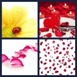 4 Pics 1 Word PETALS