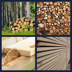 4 Pics 1 Word TIMBER
