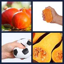 4 Pics 1 Word SQUASH