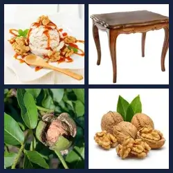 4 Pics 1 Word WALNUT