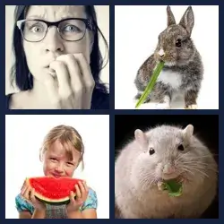 4 Pics 1 Word NIBBLE
