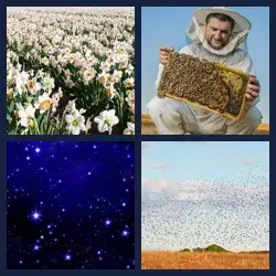 4 Pics 1 Word MYRIAD