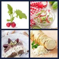 4 Pics 1 Word RADISH