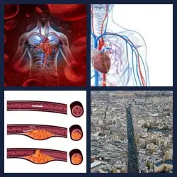 4 Pics 1 Word ARTERY