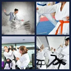 4 Pics 1 Word KARATE