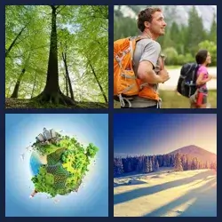 4 Pics 1 Word FOREST