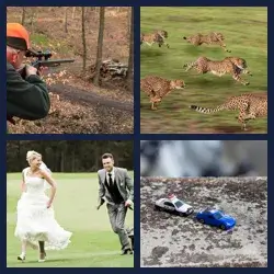 4 Pics 1 Word PURSUE