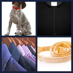 4 Pics 1 Word COLLAR