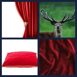 4 Pics 1 Word VELVET