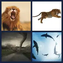 4 Pics 1 Word FEROCIOUS