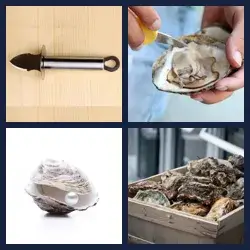 4 Pics 1 Word OYSTER