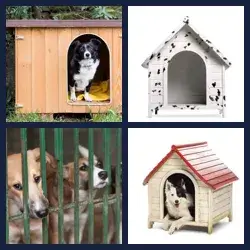 4 Pics 1 Word KENNEL