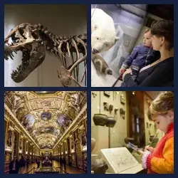 4 Pics 1 Word MUSEUM