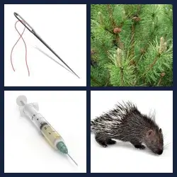 4 Pics 1 Word NEEDLE