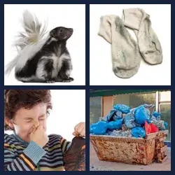 4 Pics 1 Word STINKY