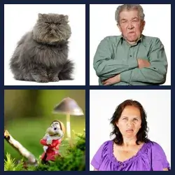 4 Pics 1 Word GRUMPY