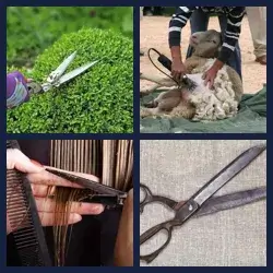 4 Pics 1 Word SHEARS