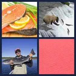 4 Pics 1 Word SALMON