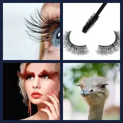 4 Pics 1 Word EYELASHES