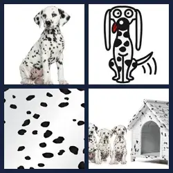 4 Pics 1 Word DALMATIAN
