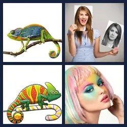4 Pics 1 Word CHAMELEON