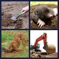 4 Pics 1 Word DIGGER