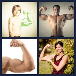 4 Pics 1 Word BICEPS
