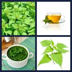 4 Pics 1 Word NETTLE