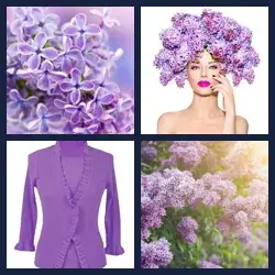4 Pics 1 Word LILACS