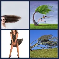4 Pics 1 Word WINDBLOWN