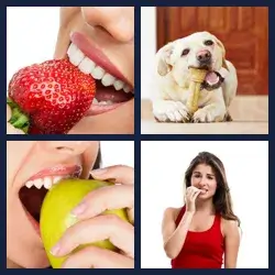4 Pics 1 Word BITING