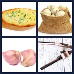 4 Pics 1 Word GARLIC