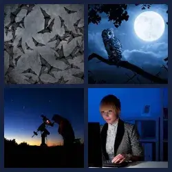 4 Pics 1 Word NOCTURNAL